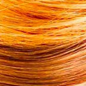Palm oil  Inside our products - L'Oreal
