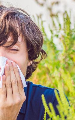 Allergens